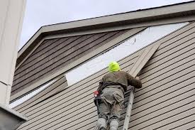 Best Insulated Siding Installation  in Halstead, KS